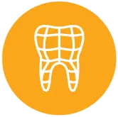t1 t1